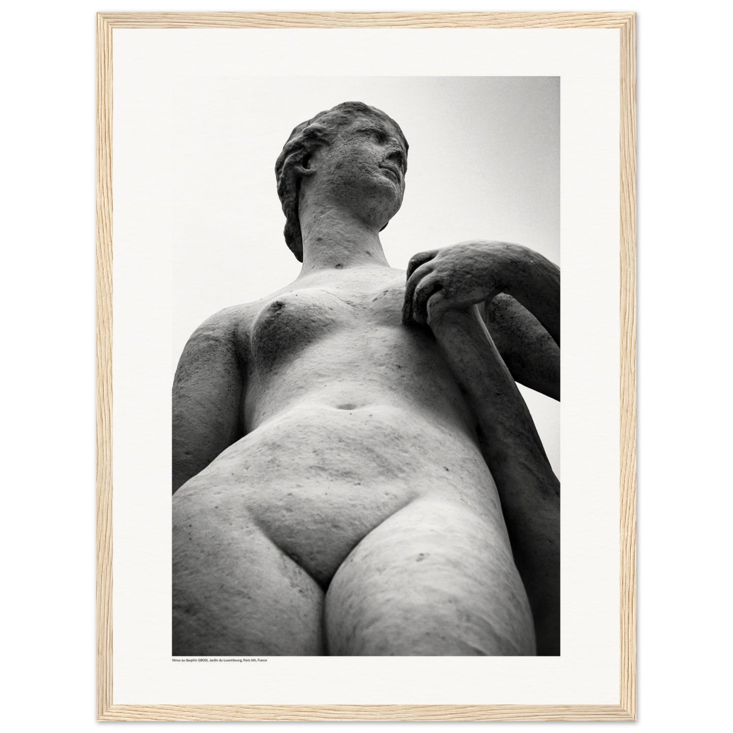 Vénus au dauphin