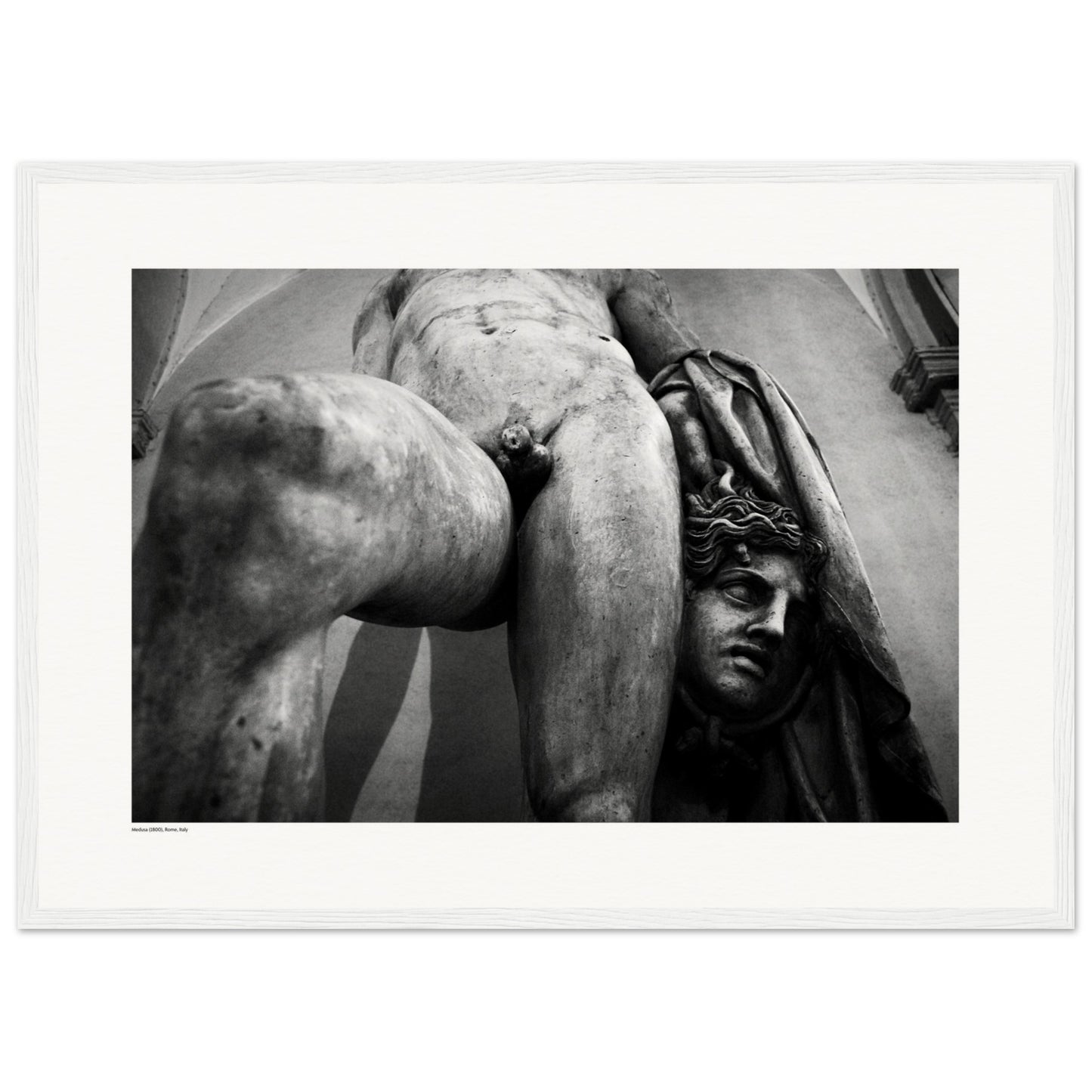 Medusa