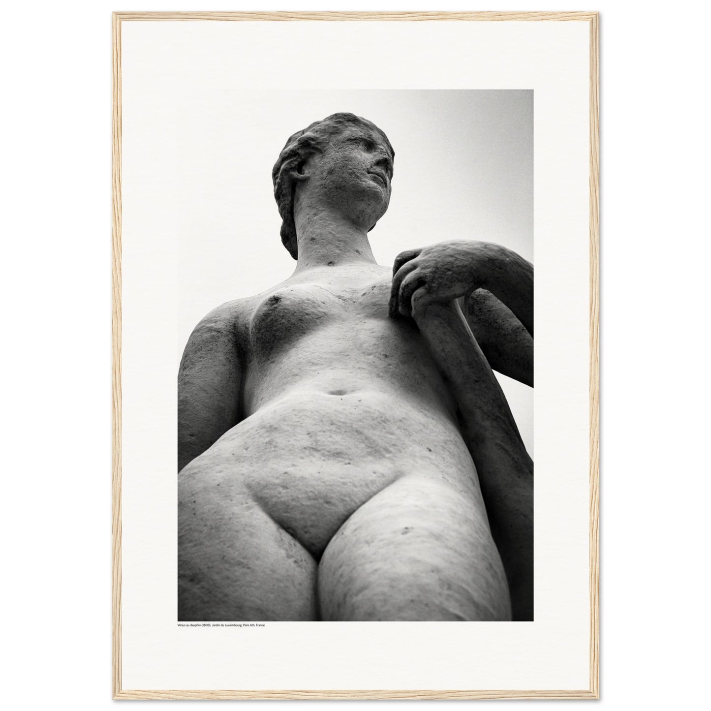 Vénus au dauphin