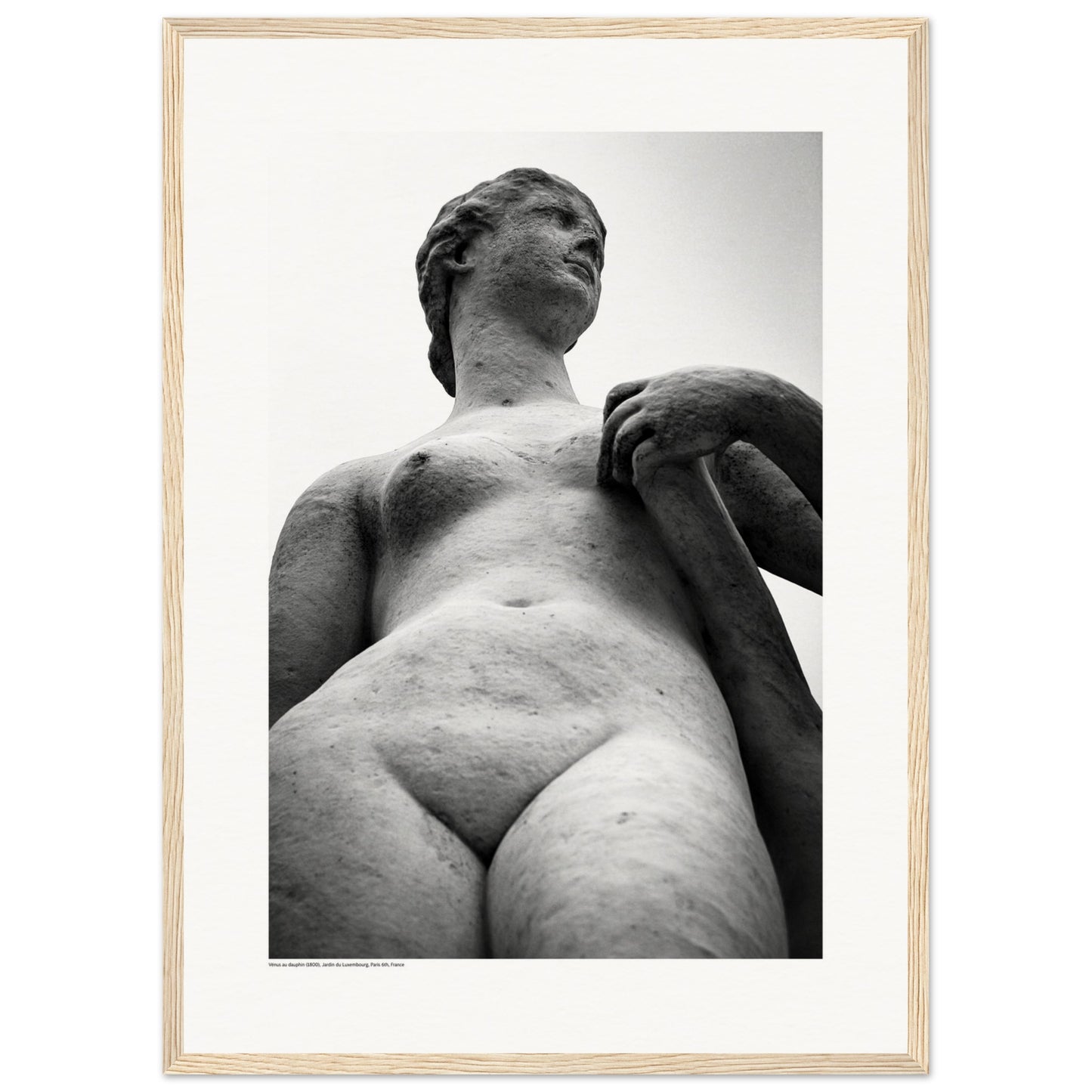 Vénus au dauphin