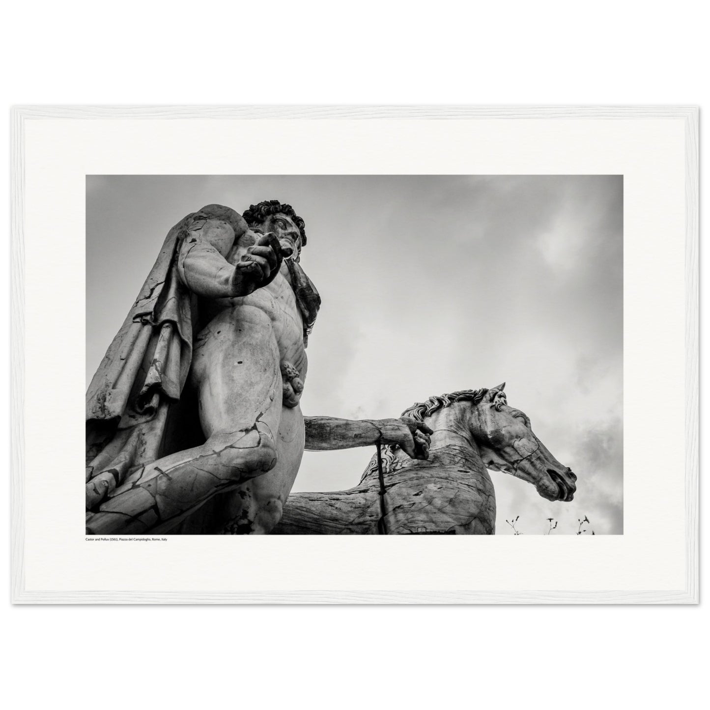 Castor and Pollux